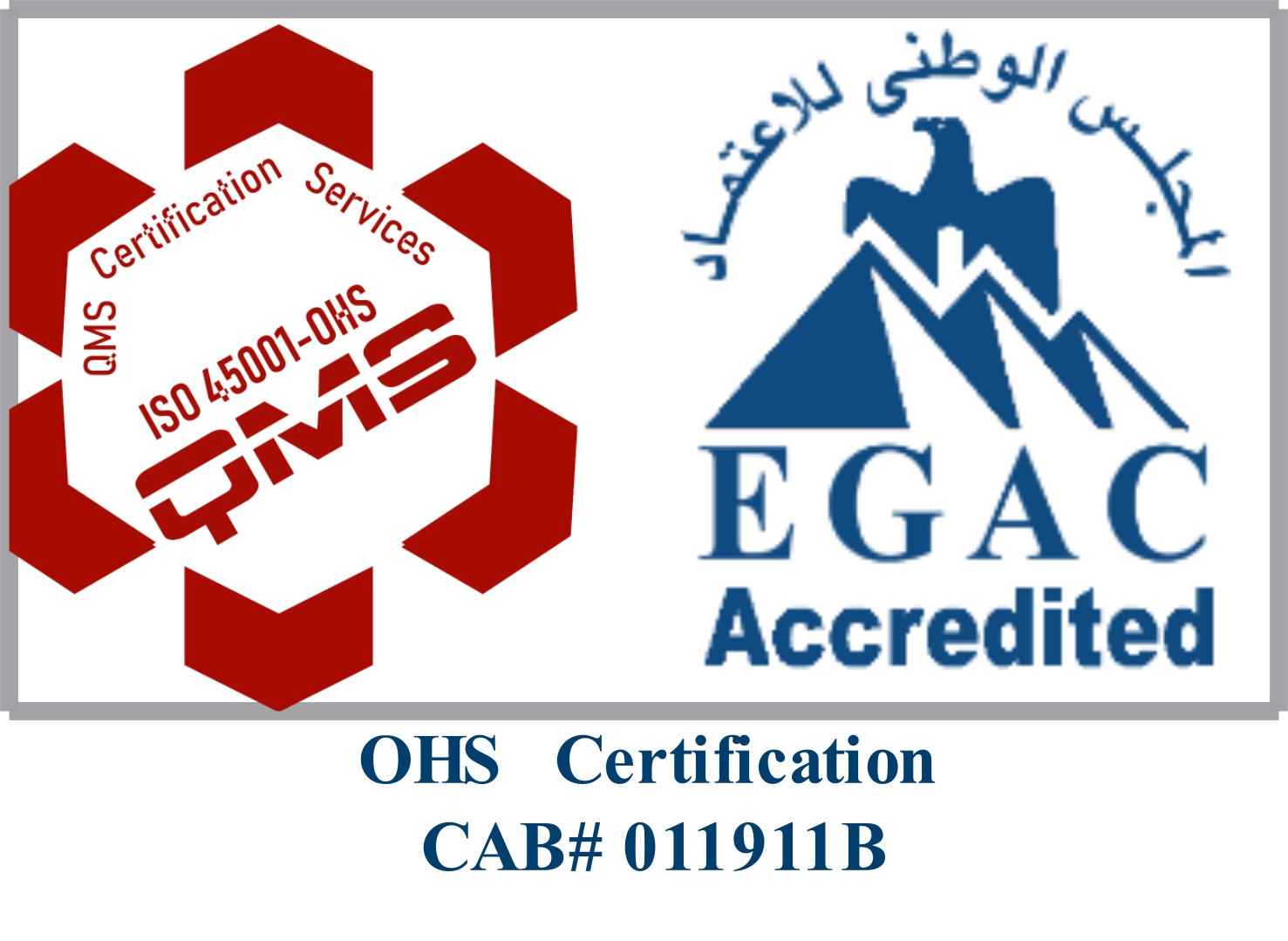 ISO 45001 Logo 