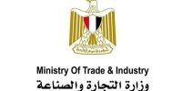 Egypt Ministry of industry's